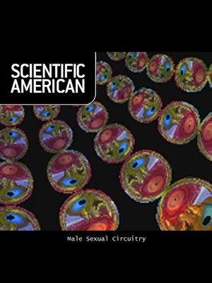 cover image of Scientific American: Male Sexual Circuitry